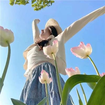 终结杉计划